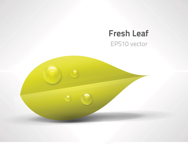 free vector Leaves vector